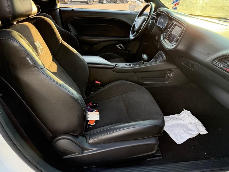 Dodge Challenger Vehicle Image 12