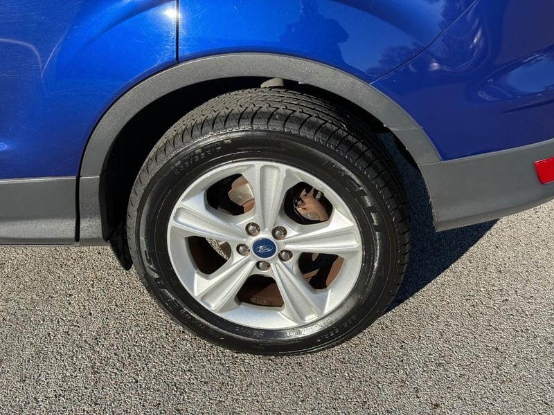 Ford Escape Vehicle Image 05