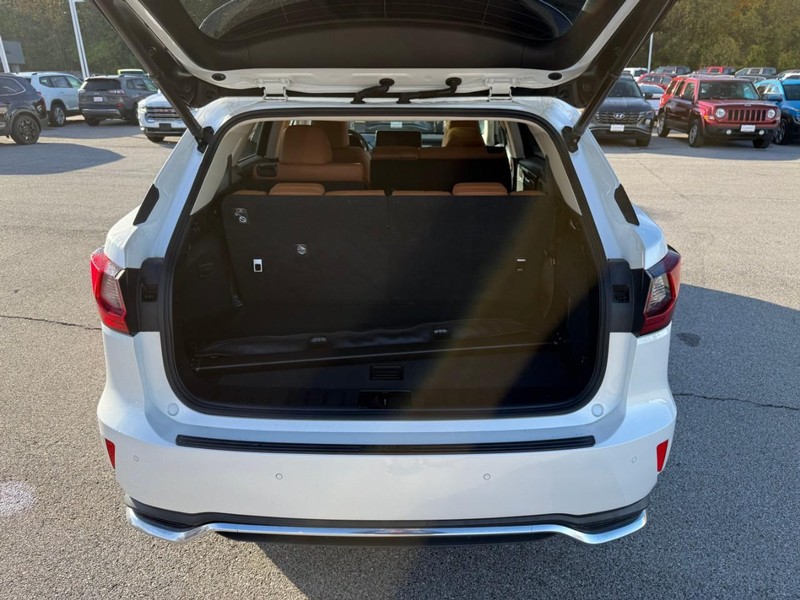 Lexus RX Vehicle Image 08