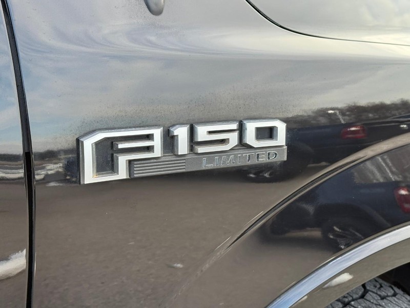 Ford F-150 Vehicle Image 11