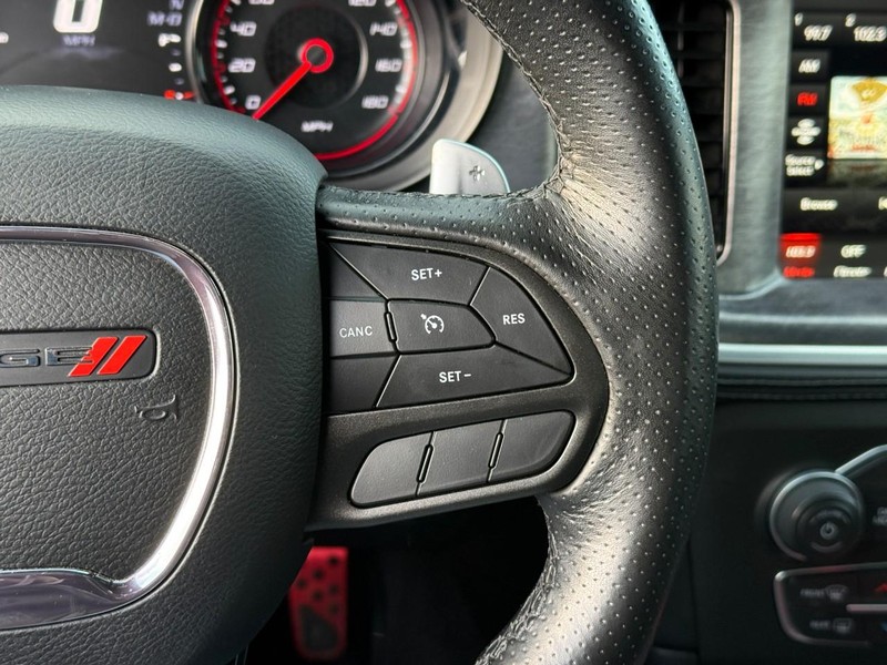 Dodge Charger Vehicle Image 22