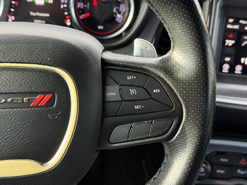 Dodge Challenger Vehicle Image 18