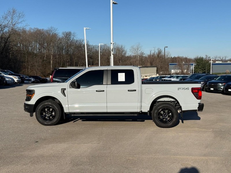 Ford F-150 Vehicle Image 03