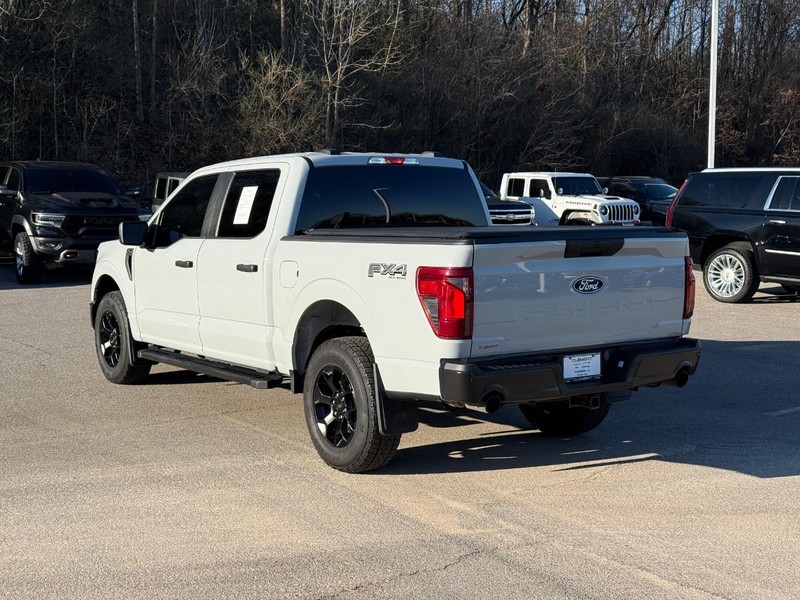 Ford F-150 Vehicle Image 04
