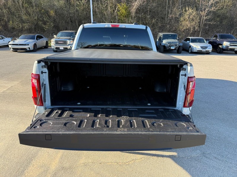 Ford F-150 Vehicle Image 07