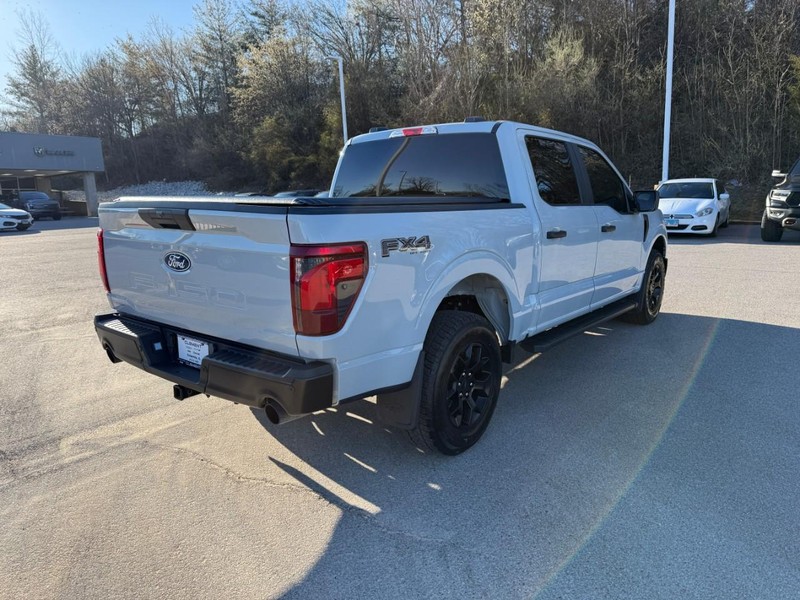 Ford F-150 Vehicle Image 09