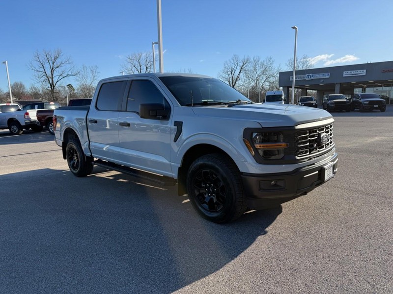 Ford F-150 Vehicle Image 11