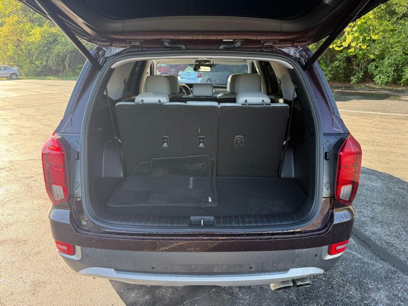Hyundai Palisade Vehicle Image 07