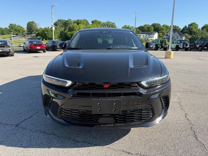 Dodge Hornet Vehicle Image 12