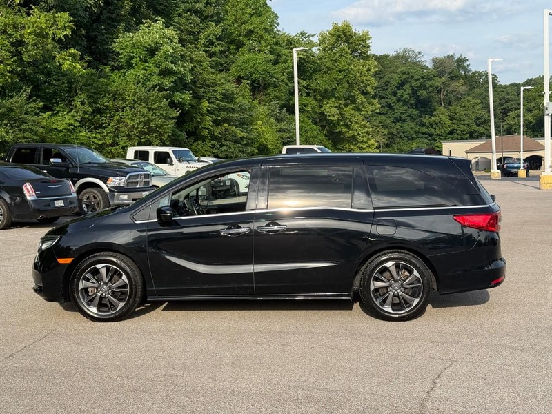 Honda Odyssey Vehicle Image 03