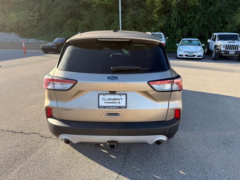 Ford Escape Vehicle Image 08