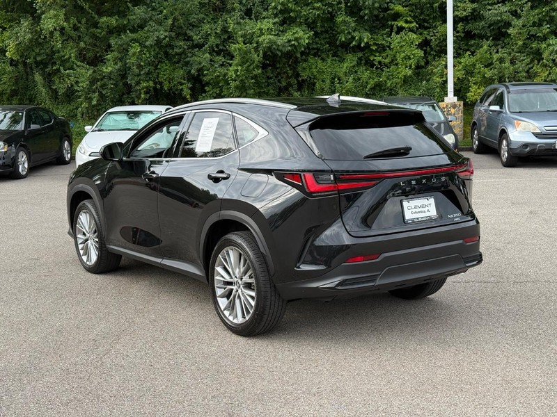 Lexus NX Vehicle Image 04