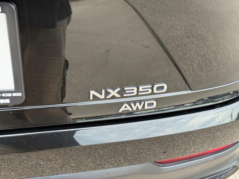 Lexus NX Vehicle Image 07
