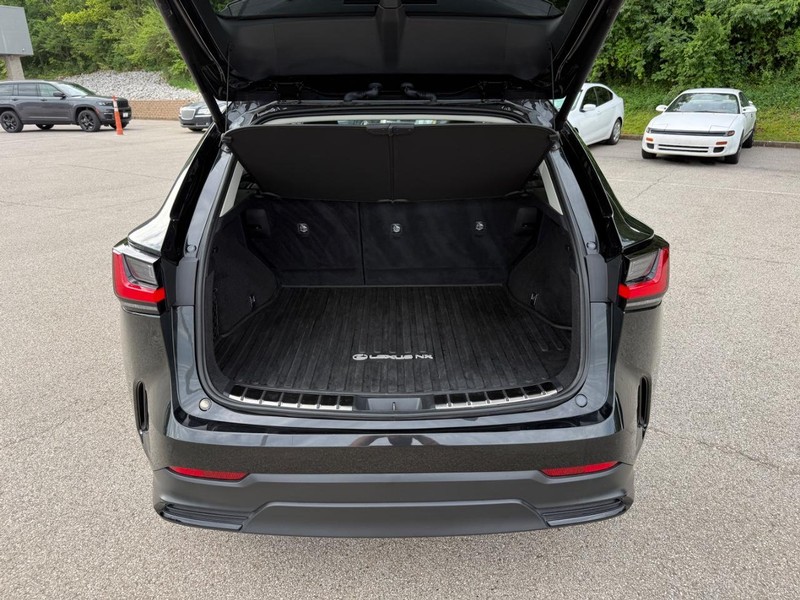 Lexus NX Vehicle Image 08