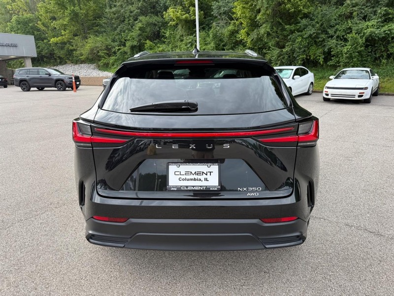 Lexus NX Vehicle Image 09