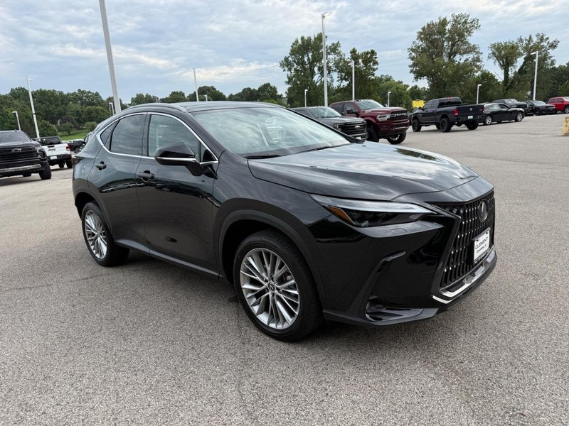 Lexus NX Vehicle Image 12