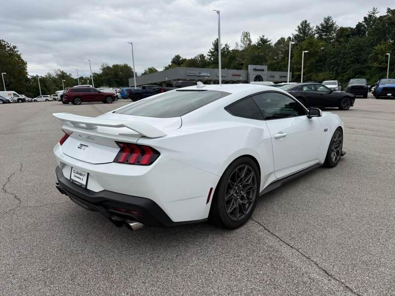 Ford Mustang Vehicle Image 08