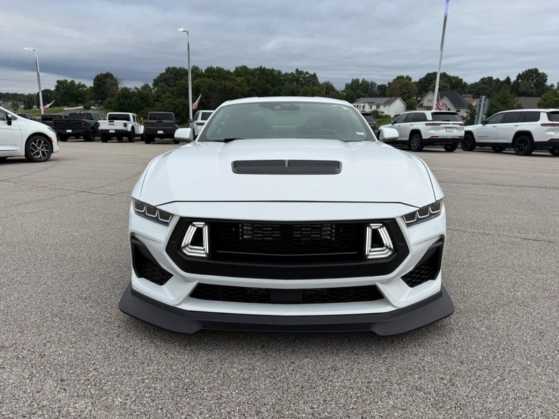 Ford Mustang Vehicle Image 11