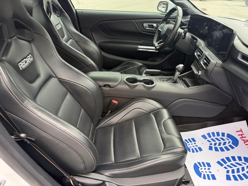 Ford Mustang Vehicle Image 12