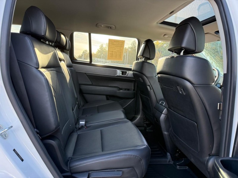 Hyundai Santa Fe Vehicle Image 12