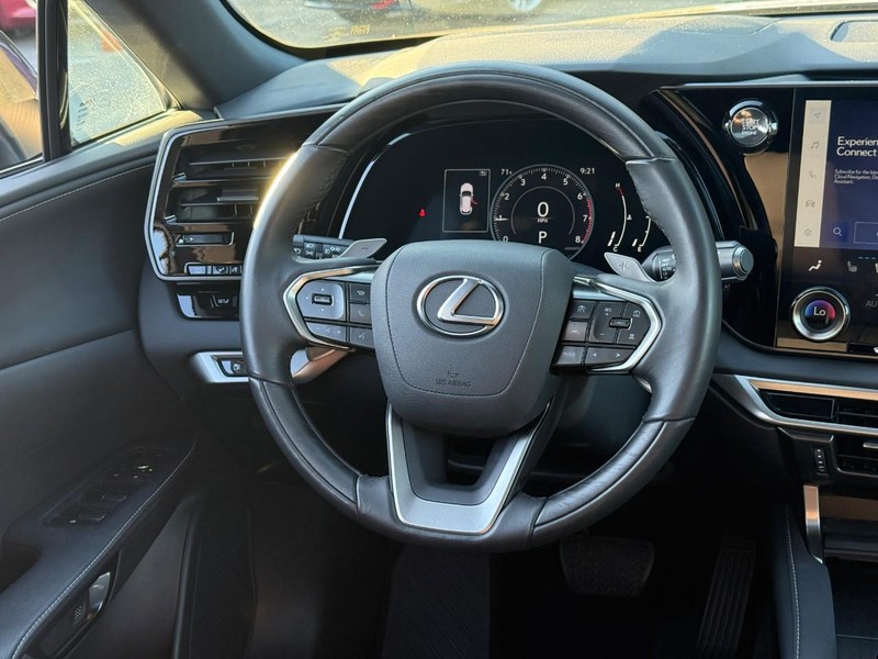 Lexus RX Vehicle Image 15