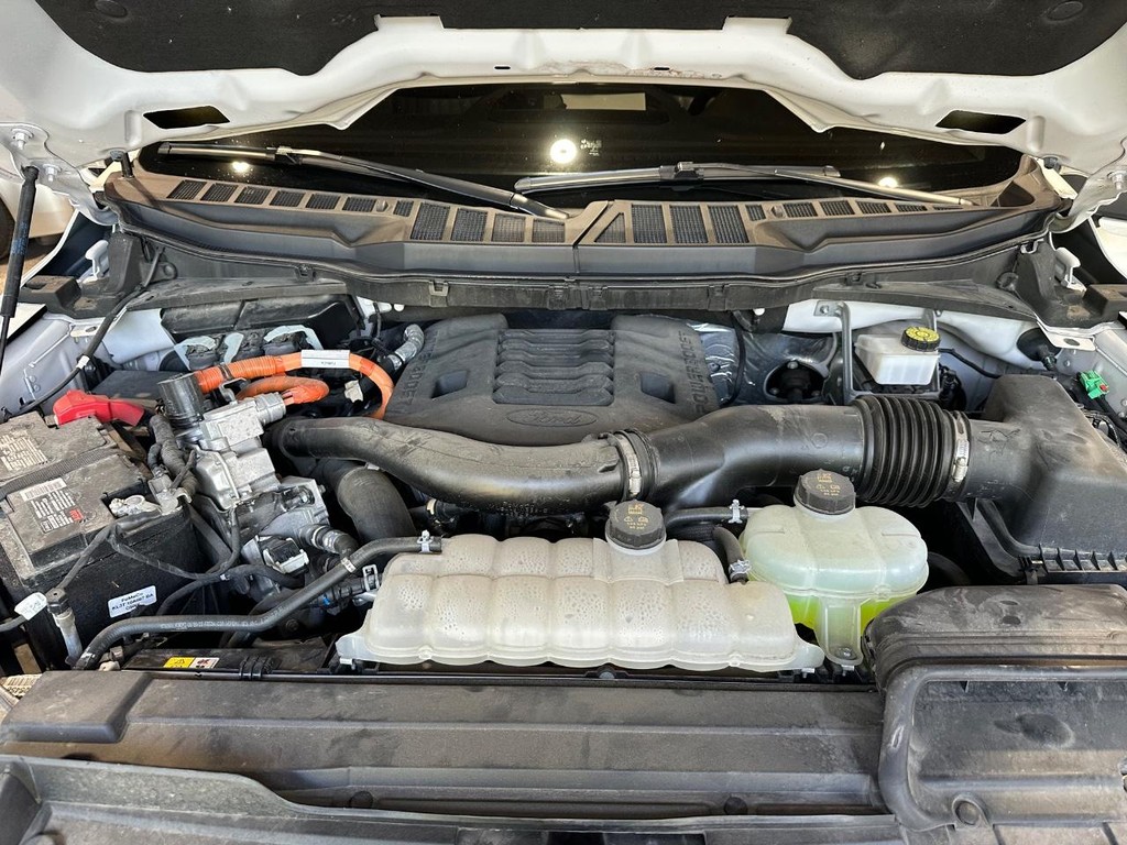 Ford F-150 Vehicle Full-screen Gallery Image 21