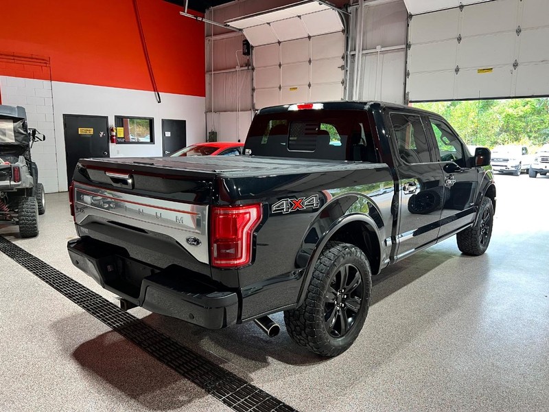 2015 Ford F-150 Platinum photo 3