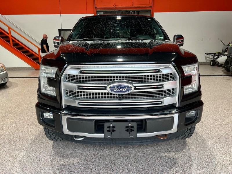2015 Ford F-150 Platinum photo 8