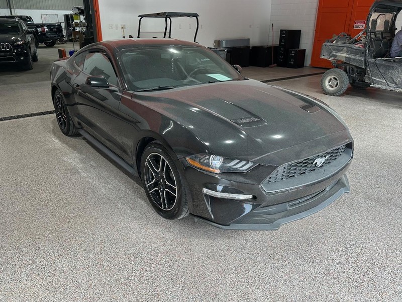 2020 Ford Mustang EcoBoost photo 2