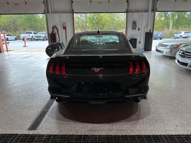 2020 Ford Mustang EcoBoost photo 3