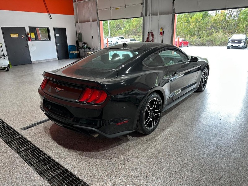 2020 Ford Mustang EcoBoost photo 4