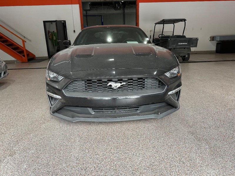 Ford Mustang Vehicle Full-screen Gallery Image 11