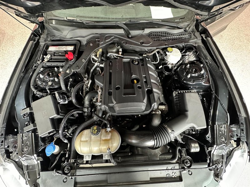 Ford Mustang Vehicle Full-screen Gallery Image 20