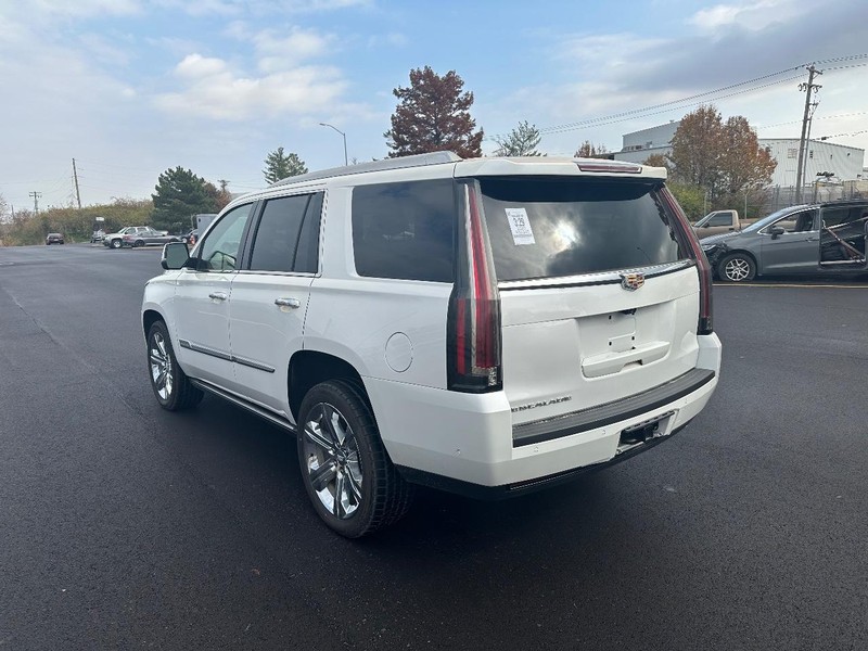 2020 Cadillac Escalade Platinum photo 4