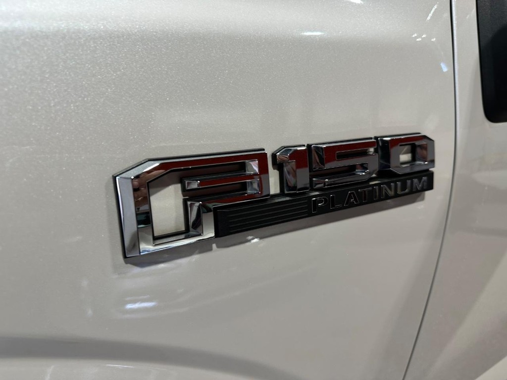 Ford F-150 Vehicle Full-screen Gallery Image 12