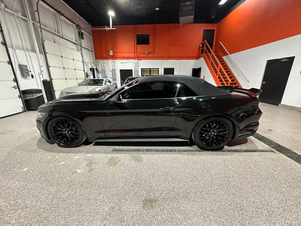 Ford Mustang Vehicle Full-screen Gallery Image 6