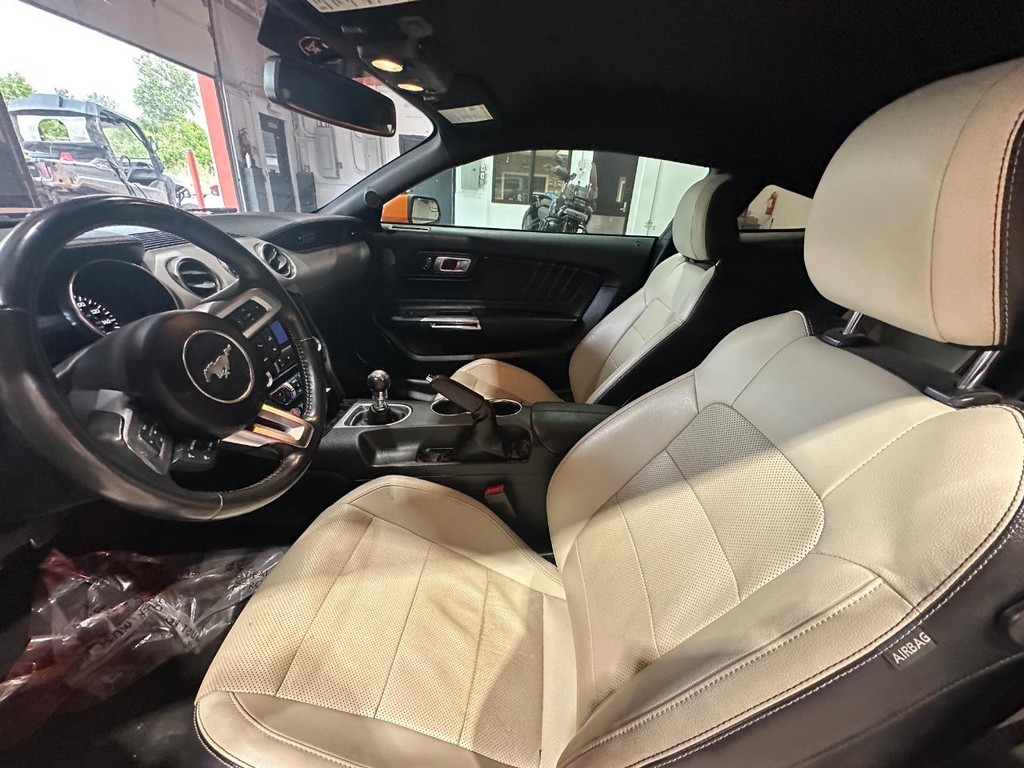 Ford Mustang Vehicle Full-screen Gallery Image 9