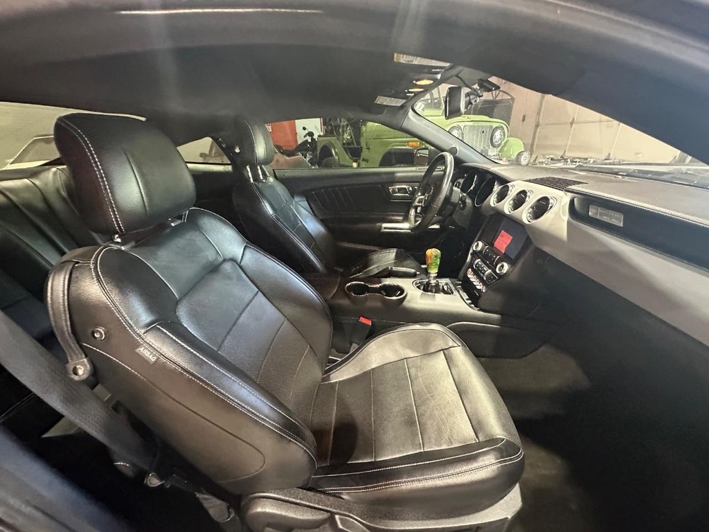 Ford Mustang Vehicle Full-screen Gallery Image 8