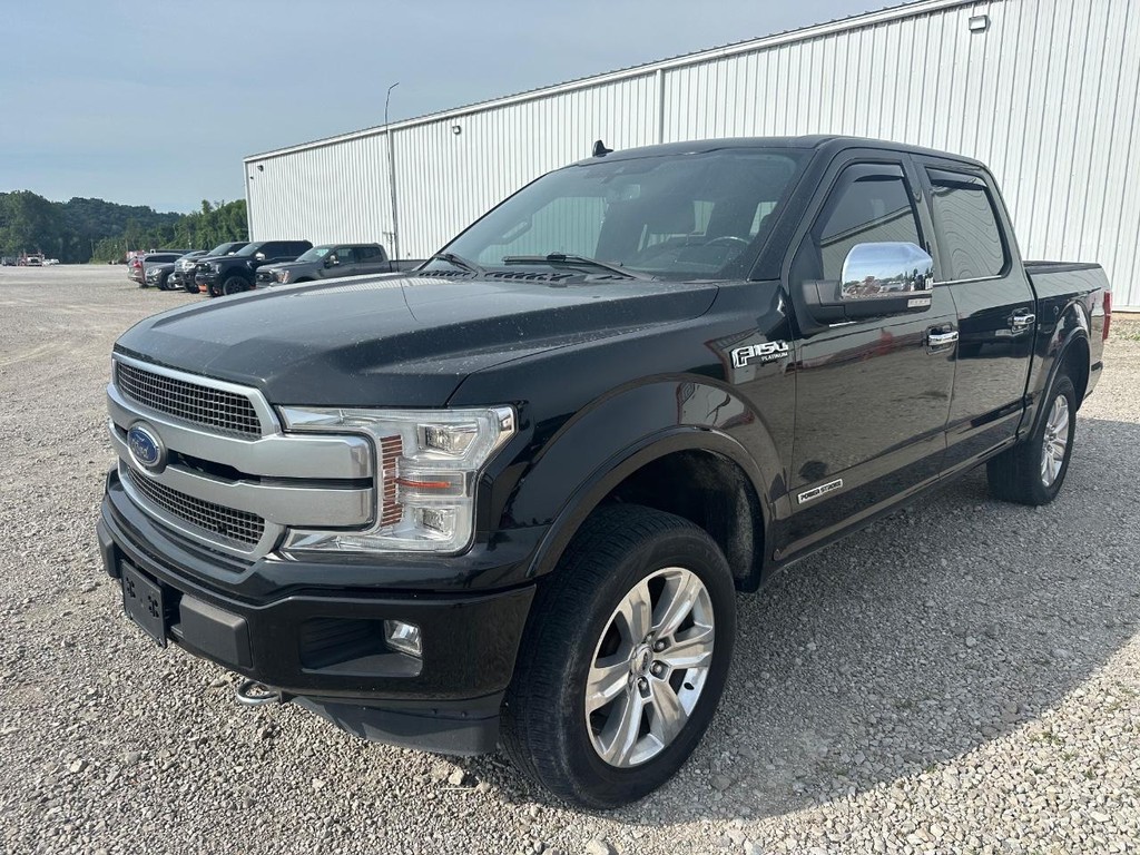 Ford F-150 Vehicle Full-screen Gallery Image 2