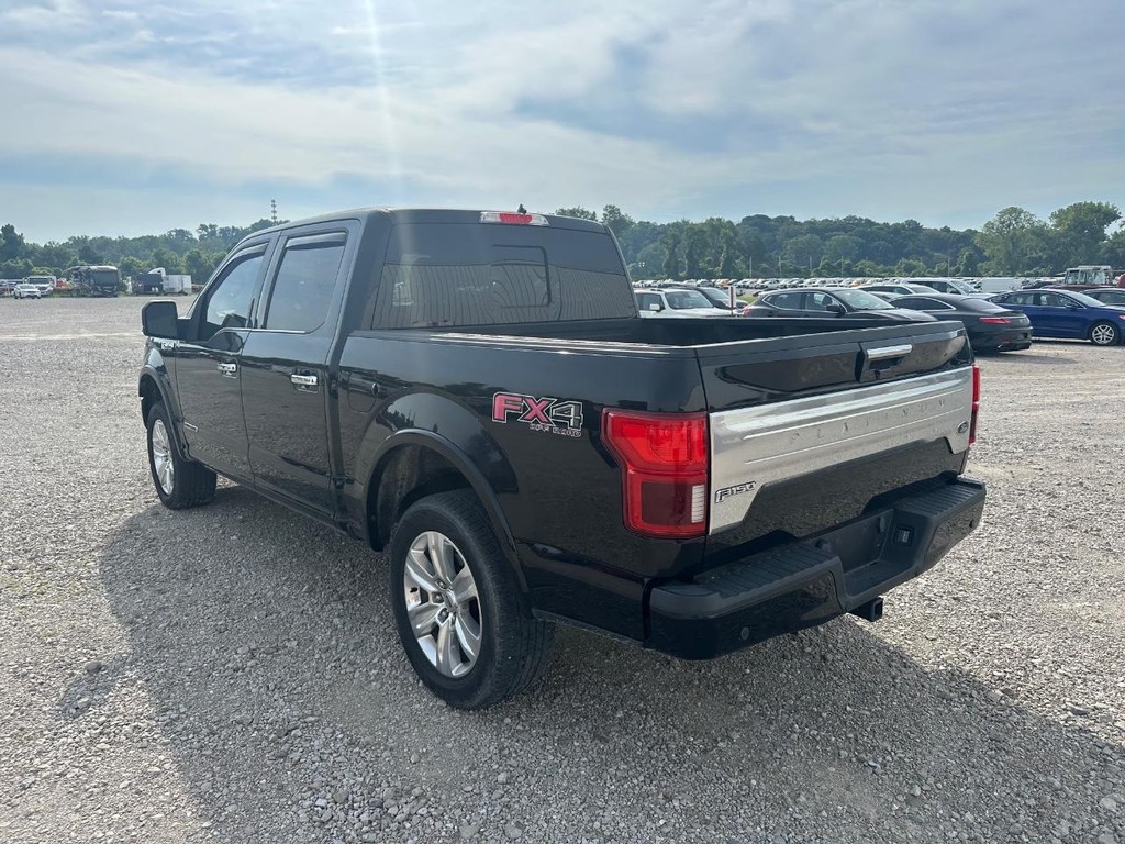 Ford F-150 Vehicle Full-screen Gallery Image 7