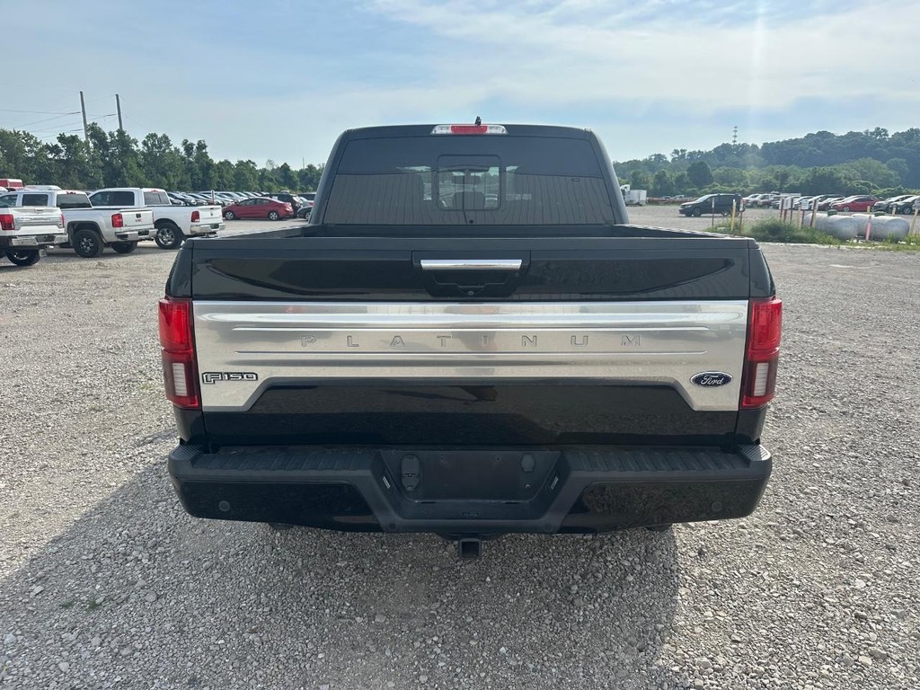 Ford F-150 Vehicle Full-screen Gallery Image 8
