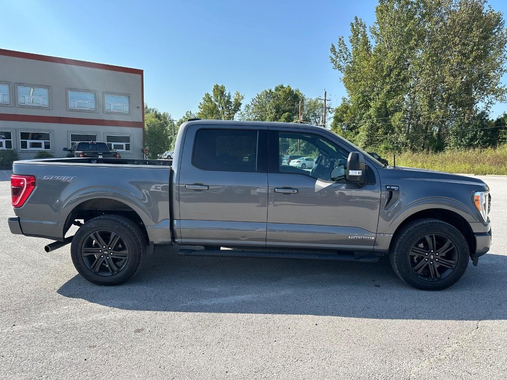 Ford F-150 Vehicle Full-screen Gallery Image 2