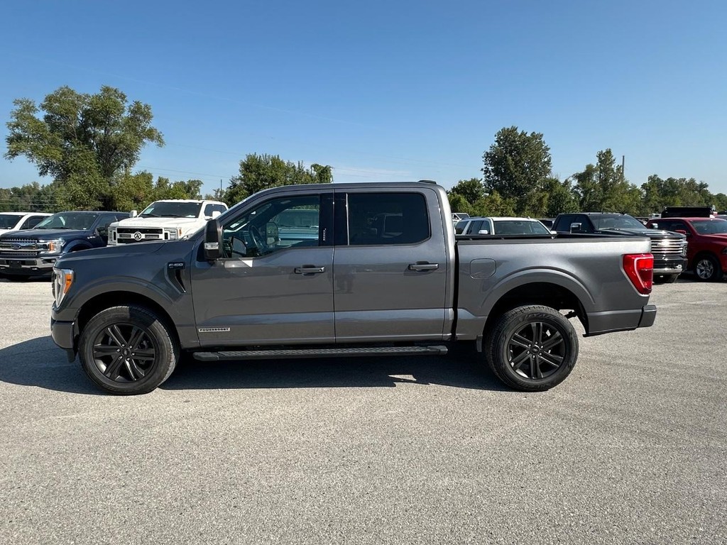 Ford F-150 Vehicle Full-screen Gallery Image 8