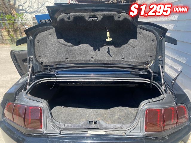 Ford Mustang Vehicle Image 06