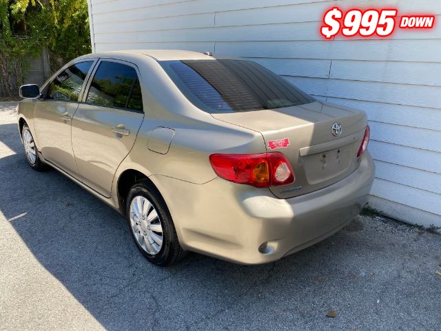 Toyota Corolla Vehicle Image 03