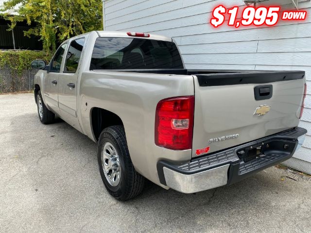 Chevrolet Silverado 1500 Vehicle Image 03
