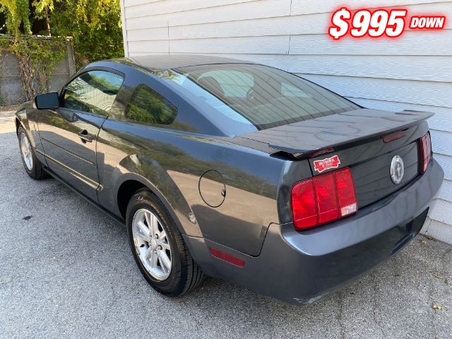 Ford Mustang Vehicle Image 03