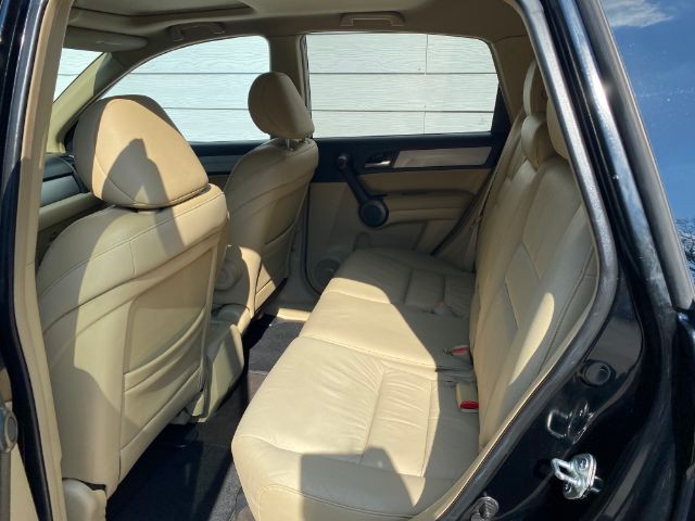 Honda CR-V Vehicle Image 06