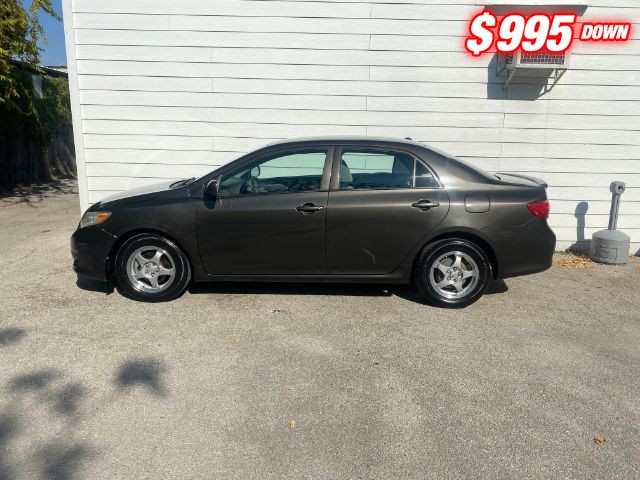 Toyota Corolla Vehicle Image 02