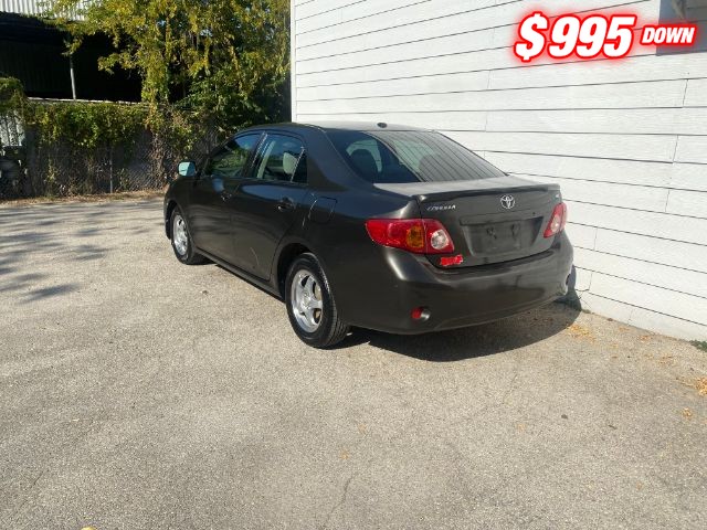 Toyota Corolla Vehicle Image 03